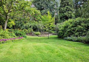Optimiser l'expérience du jardin à Perpezac-le-Blanc